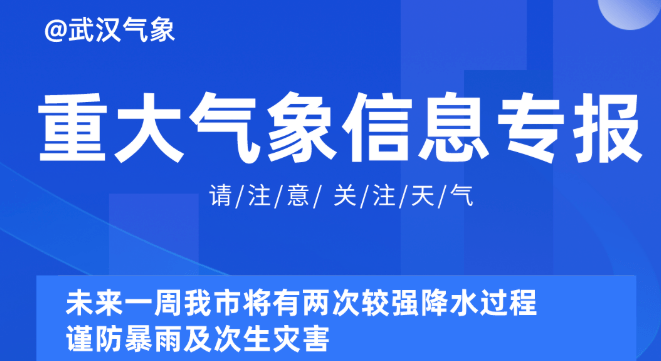 2025新奥资料免费精准175,探索未来，2025新奥资料的免费精准共享